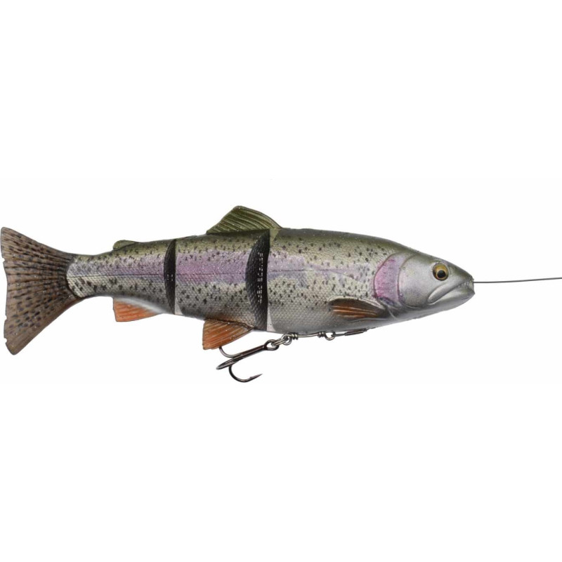 4D Line Thru Trout 25cm 180g SS Rainbow | Le Peish 64