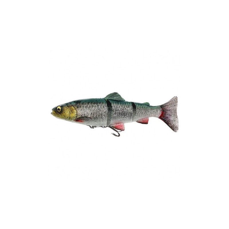 4D Line Thru Trout 25cm Green Silver | Le Peish 64