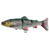 4D Line Thru Trout 25cm Green Silver | Le Peish 64