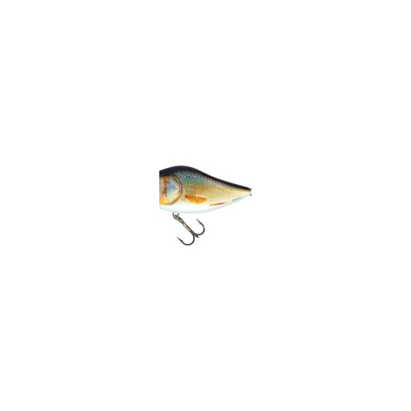 Slider 10 Real Roach Salmo | Le Peish 64