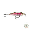 Leurre Rapala X-Light Minnow | Le Peish 64