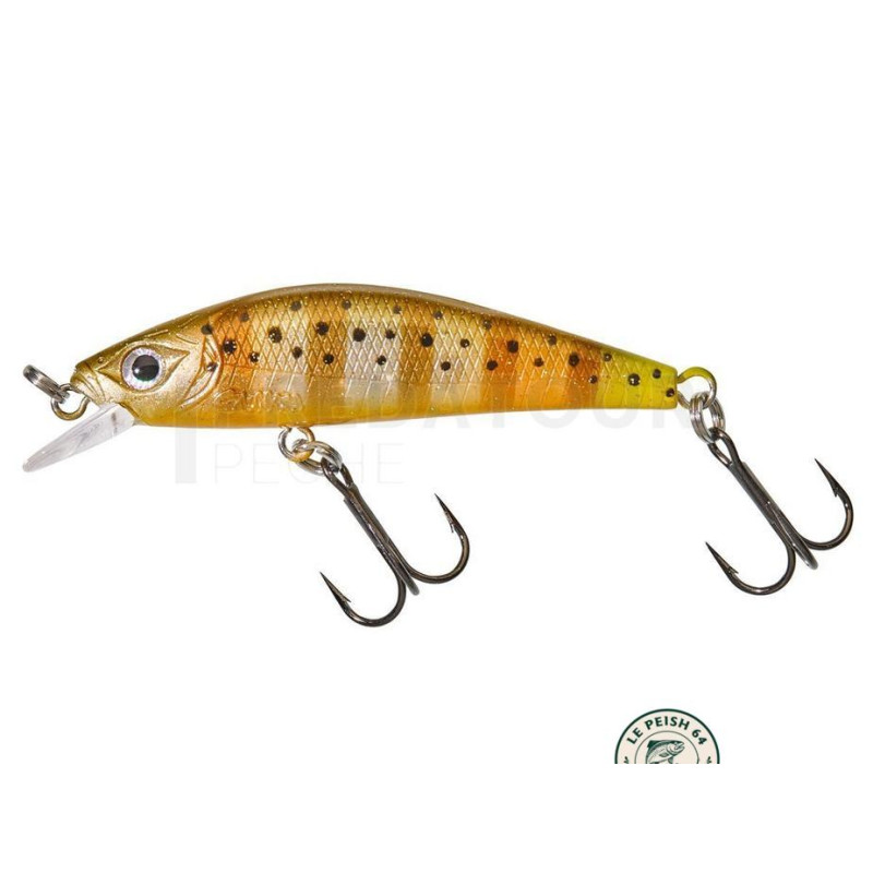 Leurre Gunki Gamera 50 HW Stripped Trout | Le Peish 64