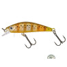 Leurre Gunki Gamera 50 HW Stripped Trout | Le Peish 64