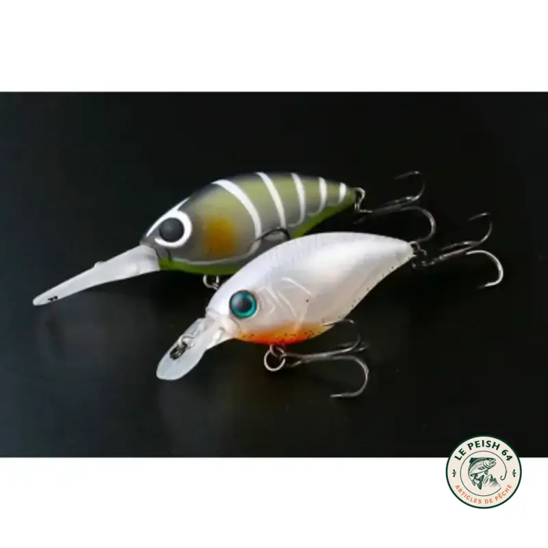 Poisson nageur Carnassier | Le Peish 64