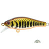 SAKURA Flat Phoxy 50S 5 cm | Le Peish 64