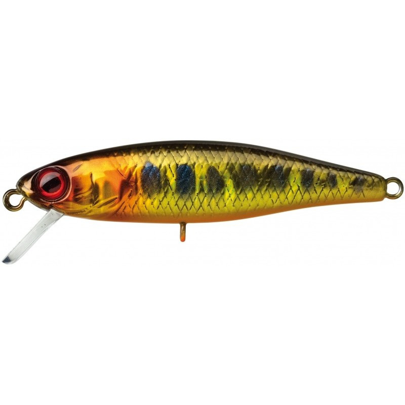ILLEX Tiny Fry 50 SP HL Gold Trout | Le Peish 64
