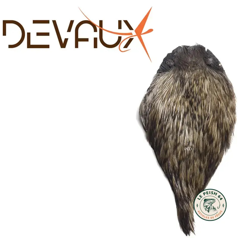 Cou De Coq Devaux Top Grade Teint | Le Peish 64