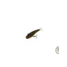 Fiiish Power Tail Slow 8g | Le Peish 64