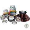 Maxima Chameleon 12lb 0.32mm 100m | Le Peish 64