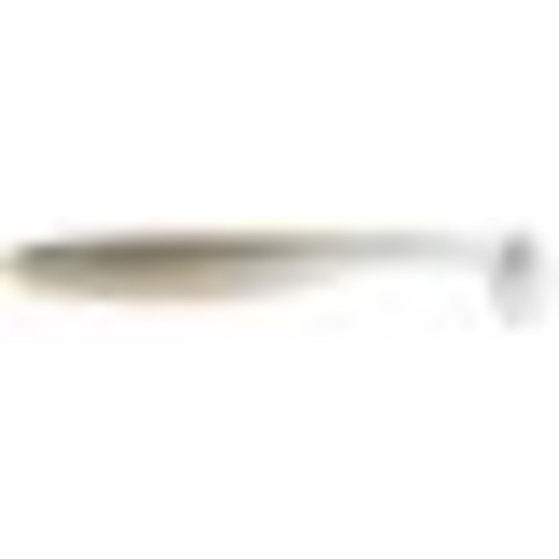 Daiwa Tournament D'Fin Shad 12,5cm Roach | Le Peish 64