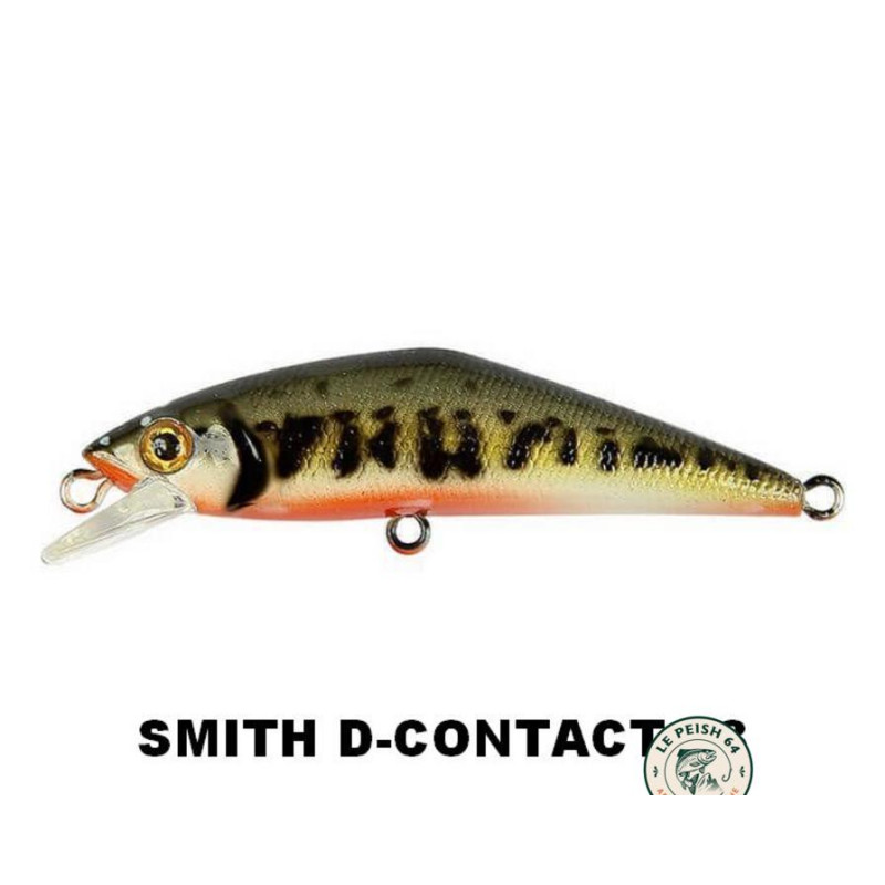 Smith D-Contact 63 Green Yamame | Le Peish 64