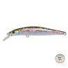 Jackson Artist FR 80 | Le Peish 64