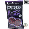 Starbaits Probiotic Blackberry 20mm 800g | Le Peish 64