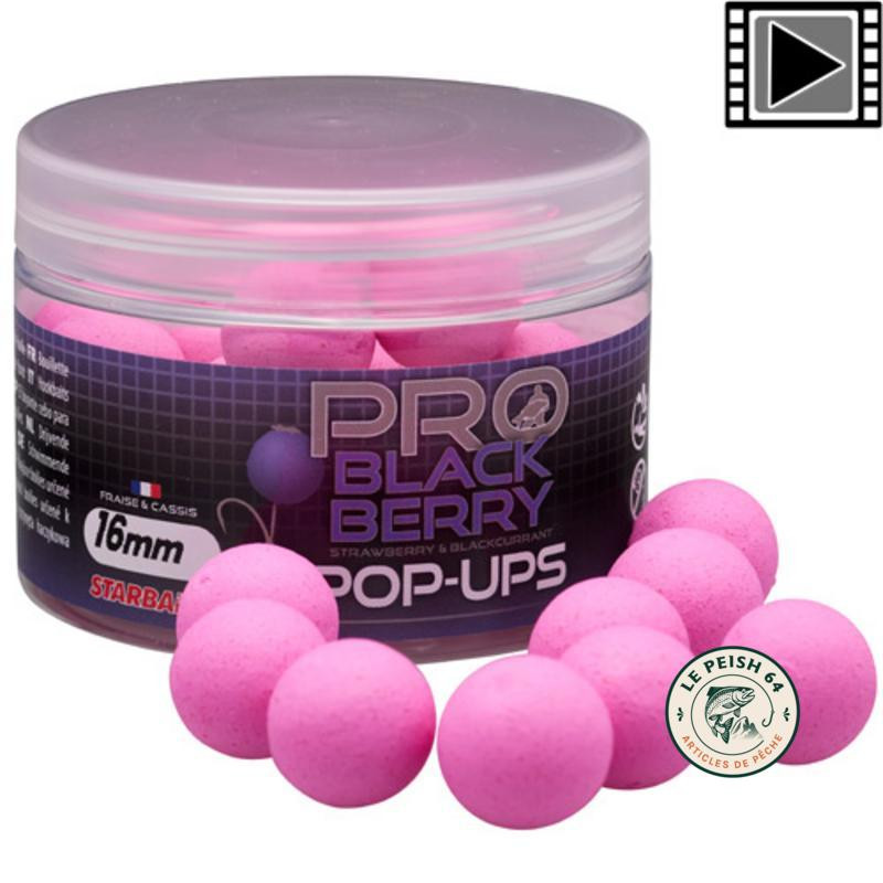 Pop Ups Probiotic Blackberry 16mm Starbaits | Le Peish 64