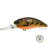 Realis Crank M65 11A Pumpkin Craw | Le Peish 64