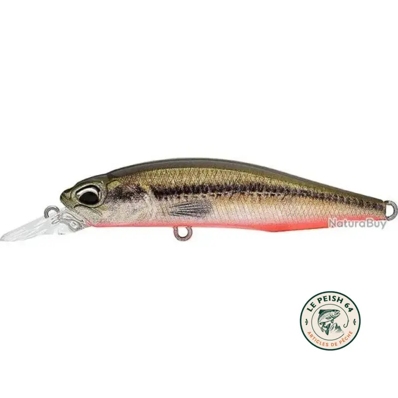 Rozante 63SP Green Vairon | Le Peish 64
