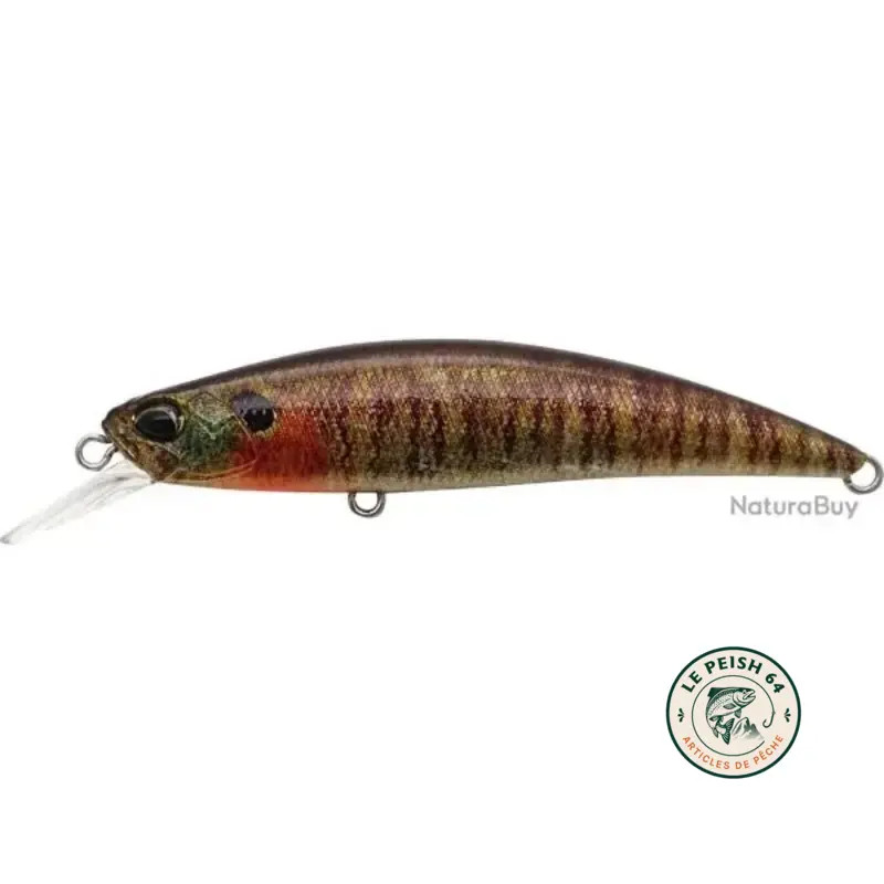 Ryuki 60S True Gill | Le Peish 64
