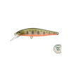 RIGGE FLAT 60S 126 OSHORO PEARL | Le Peish 64