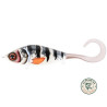 Guppie 13,5 cm C778F | Le Peish 64
