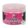 Pastel Wafters Fruity Squid 12/15mm | Le Peish 64