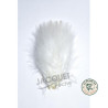 Marabou 12 plumes blanc | Le Peish 64