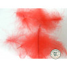 Cul de canard Natural Red | Le Peish 64
