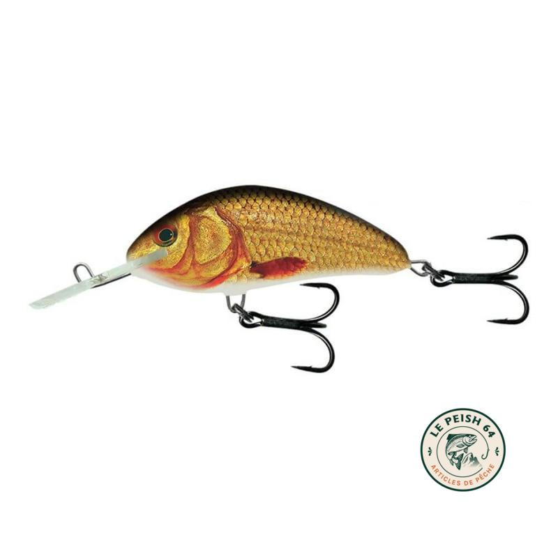 Hornet 9 Supernatural Golden | Le Peish 64