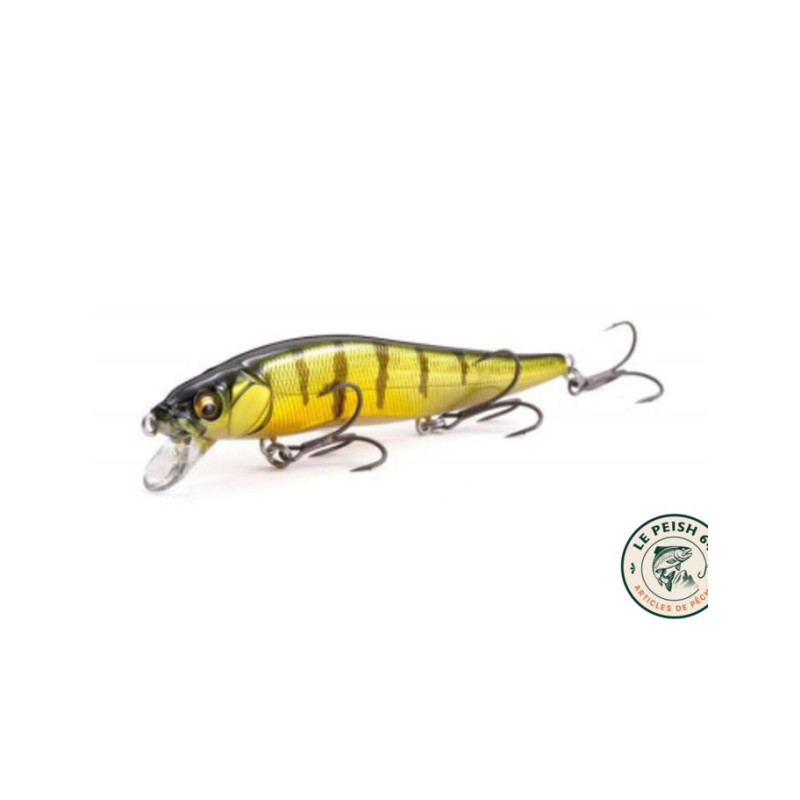 Vision 110 SR GG Perch | Le Peish 64