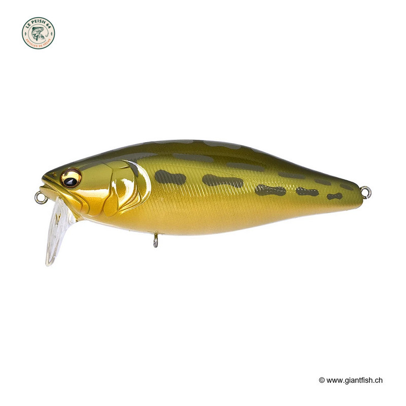 I JACK GP PINK GILL | Le Peish 64