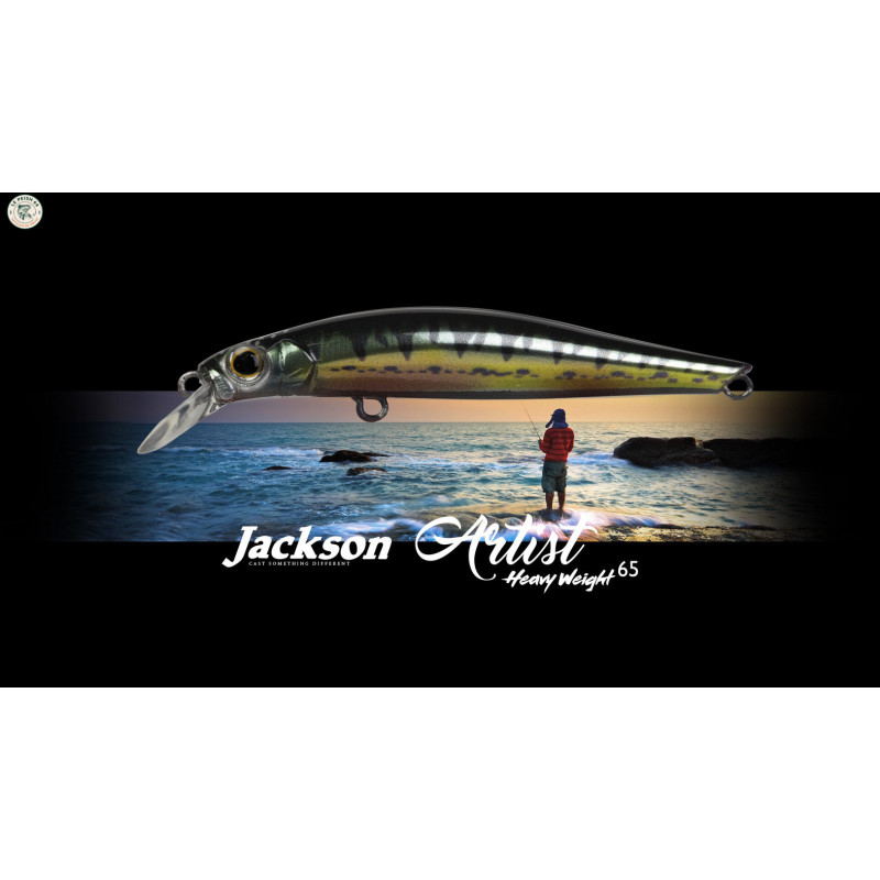 Jackson Artist FR 65HW Dur peu profond | Le Peish 64