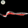 Giant Pig Tail 40 Spotted Bullhead | Le Peish 64