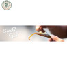 Smell Gel Worm UV 75 ml | Le Peish 64